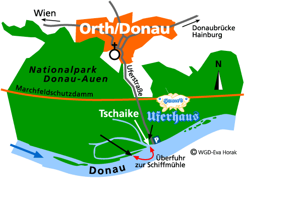 Plan Orth